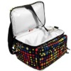Wholesale Wine picnic lunch cooler bag