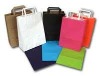 Wholesale Environmental Paper Lunch Bags