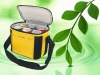 Wholesale hot! cooler lunch bag NWB368