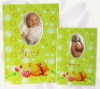 Wholesale Mini pig album