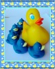 Wholesale bath duck-rubber duck baby toys