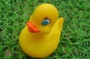 rubber duck baby toys