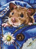 Wholesale Diy Oil Painting 30CM*40CM