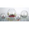 Wholesale Glass vases