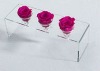 fashion vase for tthree flowers