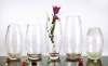 RS glass vase