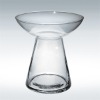Wholesale uniuqe clear glass vase