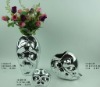 Wholesale 2012 new ceramic indoor vase