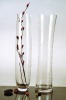 Wholesale RS glass vase