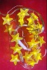 Wholesale pentagram shape battery operated led christmas lights