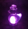 Wholesale Water proof LED duck light