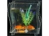 Wholesale Acrylic Fish Jar