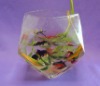 fish bowl/fish tank