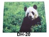 animal door mat
