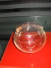 Wholesale Glass FIsh Bowl and Fish jar