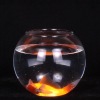Wholesale Clear large glass bowl