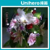 Wholesale AA battery operated LED vine light