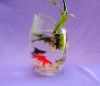 Wholesale glass fish tank/fish bowl
