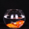 Wholesale Decorative clear large glass bowl