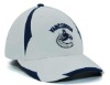 fitted baseball caps