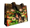 fashion nonwoven waterpoof tote bag(LF-SP-0303)