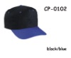 2010 promotion baseball caps