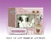 Wholesale Wooden Magnet Mini Photo Frame