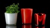 Wholesale Flowers Glass Pots