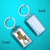 Wholesale Clear acrylic photo ornament blinking horse keychain