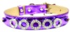 Wholesale Personalized dot cat pet product