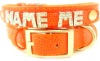 Wholesale Personalized pet product