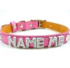 Wholesale Personalized pet collar