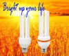 Wholesale compact fluorescent bulb 3U