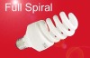 Wholesale Compact Fluorescent Bulb (15W)