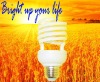 high lumen compact fluorescent bulb half spiral