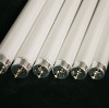 Wholesale t12 20w 40w 6500k daylight fluorescent tube