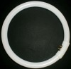 Wholesale T5 circular fluorescent tube