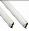 Wholesale T8 FLUORESCENT TUBE