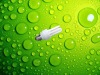 Wholesale compact fluorescent lamp/light bulbs/lighting