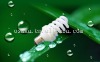 Wholesale compact fluorescent lamp/light bulbs/lighting/