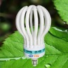 Wholesale fluorescent tube lotus lamp