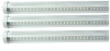 Wholesale Fluorescent tube