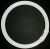 Wholesale T5 CIRCULAR FLUORESCENT TUBES 10000h