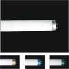 Wholesale fluorescent tube T8 (2010)