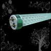 Wholesale 10w T8 High Quality Competitive led t8 fluorescent tube