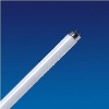 Wholesale T8 fluorescent tube