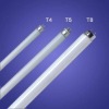 Wholesale t4 t5 t8 fluorescent tube 6500k