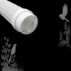 Wholesale 2011 New Competitive T8 led fluorescent tube light