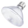 PAR30 Halogen Lamp Bulb