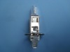 halogen bulb